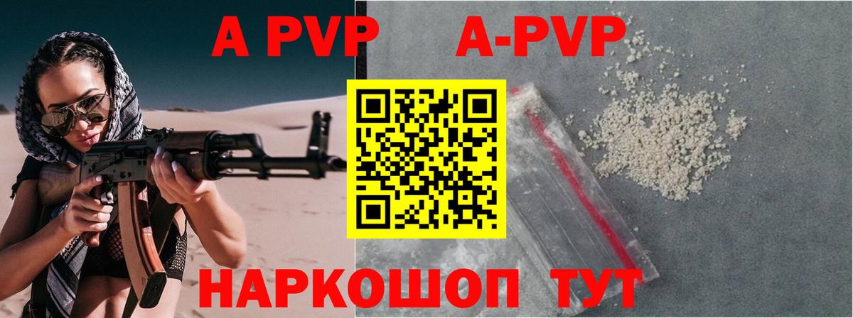 A PVP СК КРИС Беслан