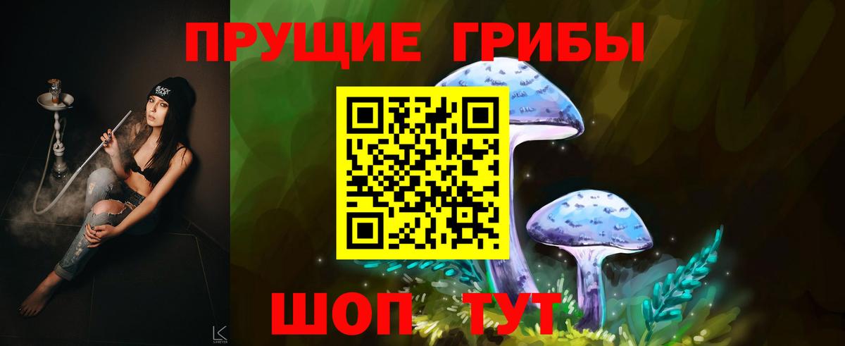 Псилоцибиновые грибы мухоморы  где купить наркотик  Псилоцибиновые грибы Magic Shrooms  Беслан  Вход с VPN 